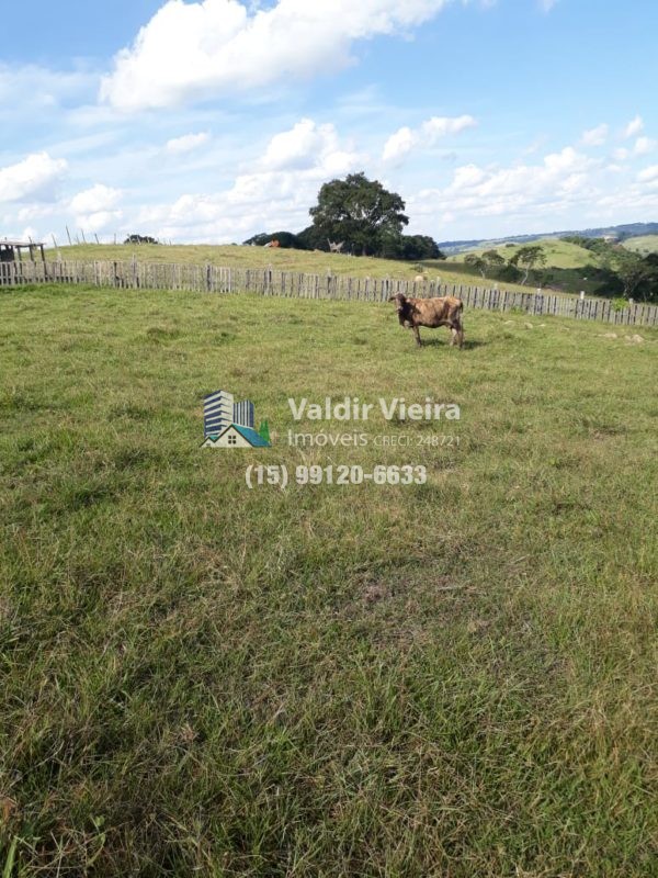 A área pode ser utilizada para diversos fins, como plantio de culturas diversas, criação de animais e até mesmo para empreendimentos de turismo rural.