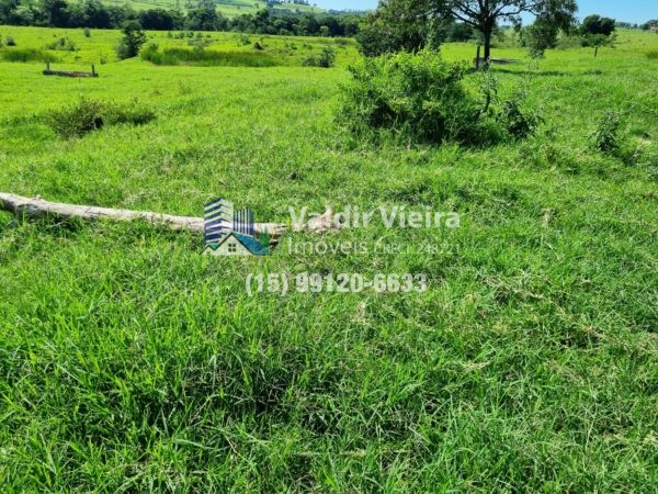 40 alqueires de área com terra mista