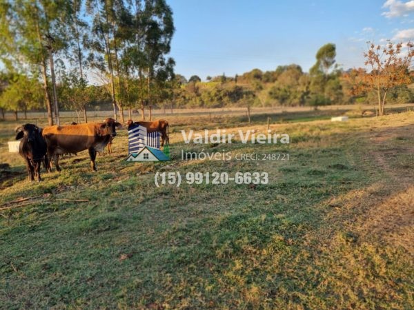 Localizada em uma área privilegiada, este terreno de 63 mil metros quadrados e abriga uma granja para até 18 mil aves alem de rio e ótima localização!