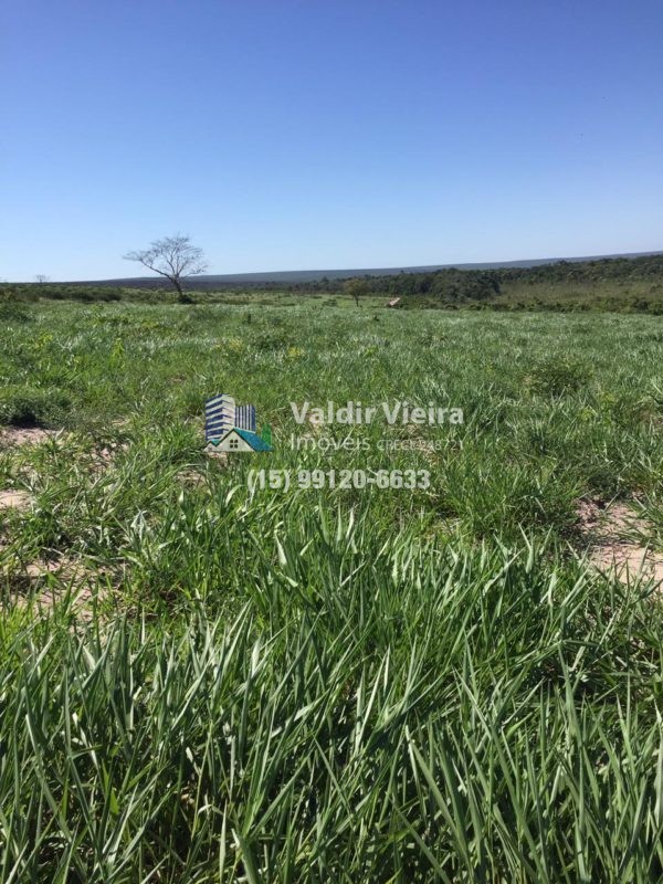 A fazenda oferece várias divisões de pasto, permitindo uma criação organizada e eficientemente completa em Jauru