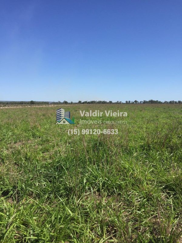 Propriedade inédita em Jauru no Mato Grosso.