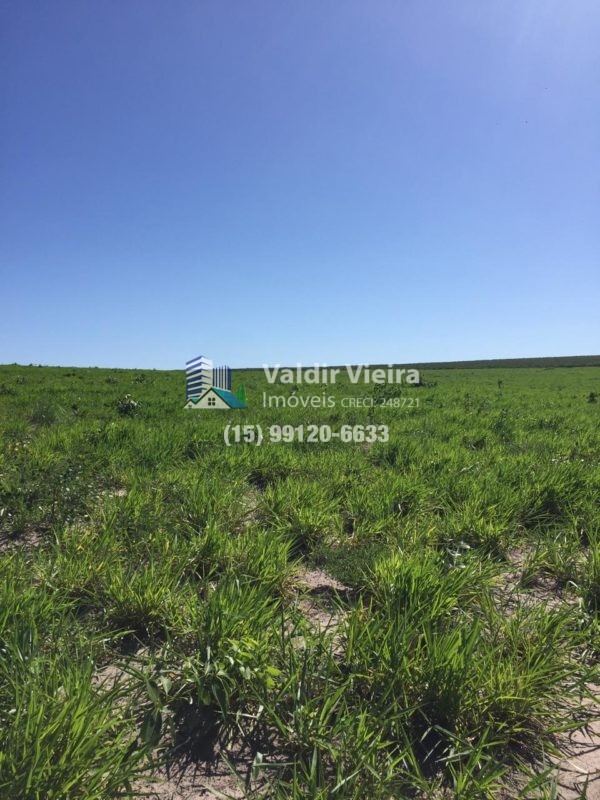 A fazenda imperdível no coração de Jauru.